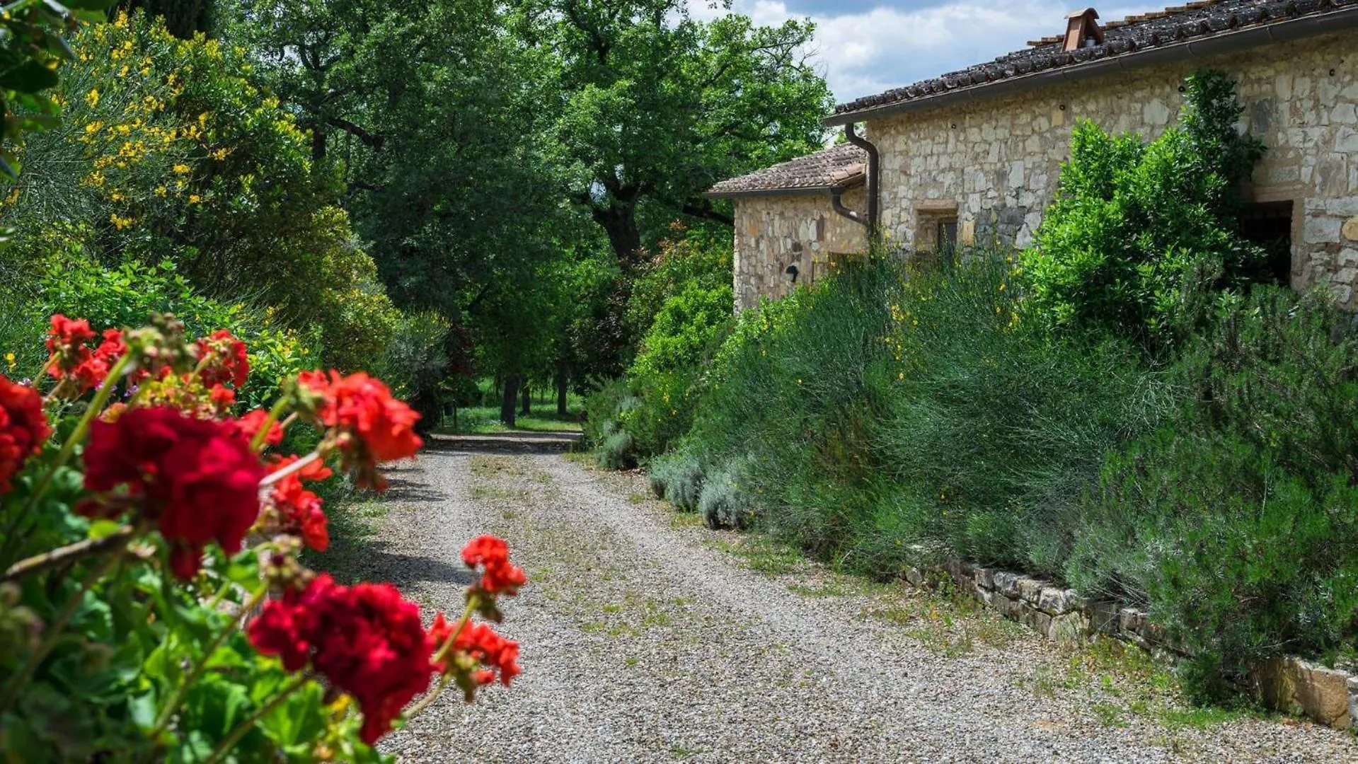 Dom wakacyjny La Taverna Gaiole in Chianti