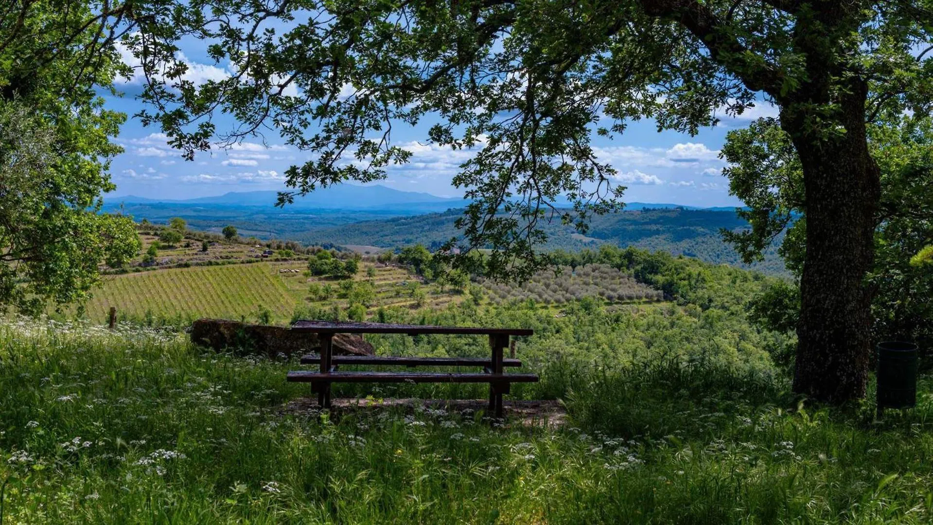 La Taverna Gaiole in Chianti